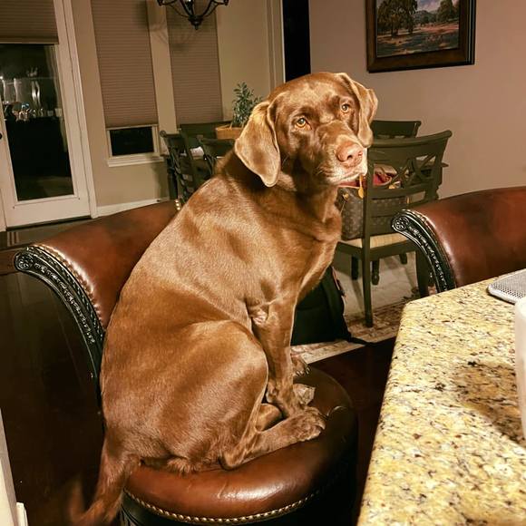 Meet your Posher, Heather - Picture 1 of 1